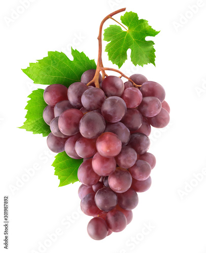 Slika na platnu Isolated grapes
