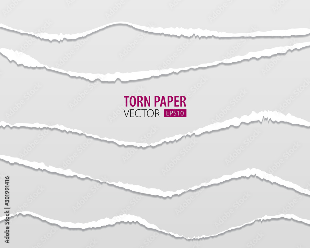 Torn paper edges. Vector torn paper with ripped edges on a transparent background for web and print. Torn paper edges. Vector torn paper with ripped edges on a transparent background for web and print.