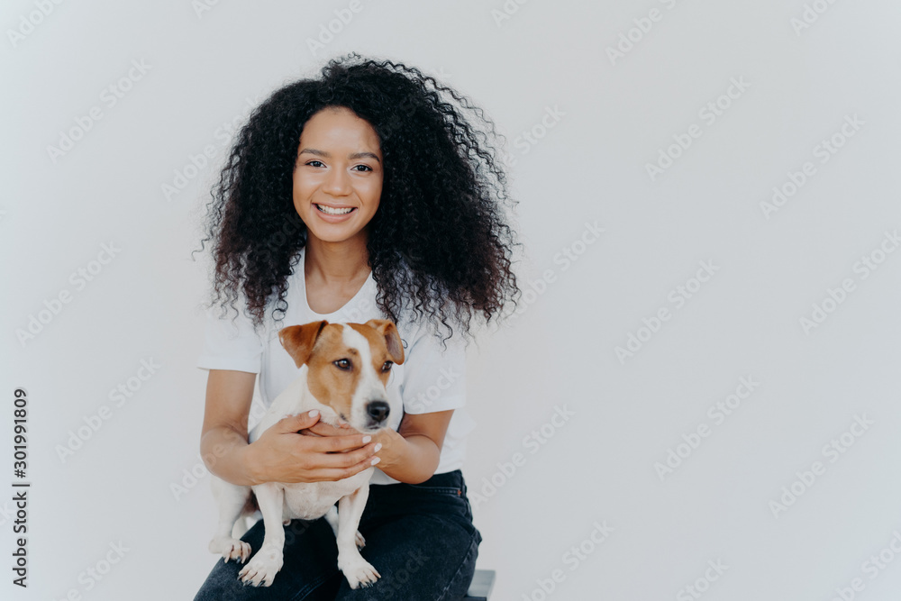 Humans and animals concept. Cheerful good looking woman with crisp hair,  smiles pleasantly, plays with pedigree dog, sits on comfortable chair,  makes memorable shot, pose against white background Stock Photo | Adobe
