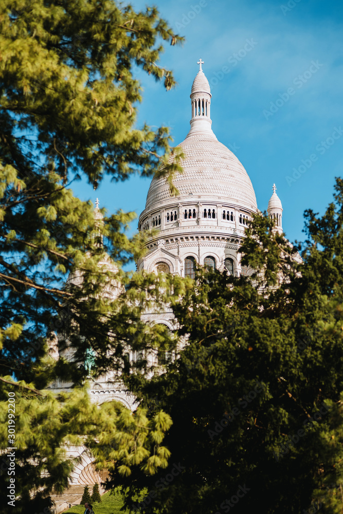 Above the trees, from the top of the hill, the dome of the Sacre Coeur Basilica whitens against the sky Above the trees, from the top of the hill, the dome of the Sacre Coeur Basilica whitens against the sky
