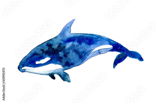 Watercolor whale on the white background