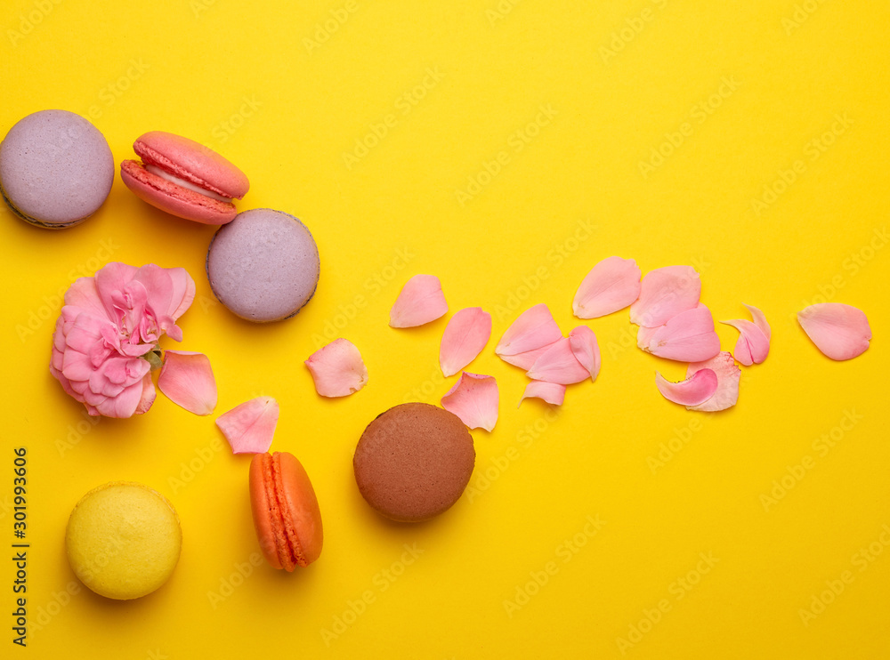 multi-colored macarons with cream and a pink rose bud with scattered petals multi-colored macarons with cream and a pink rose bud with scattered petals