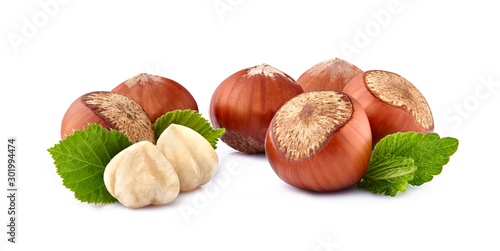 Group of hazelnuts with leaf on a white background