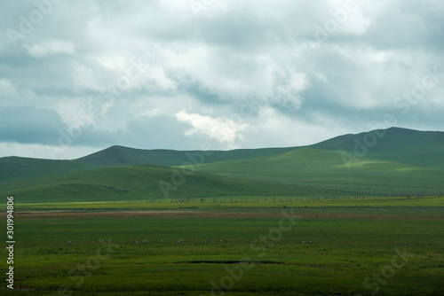 Autumn grassland scenery of hulunbuir  Inner Mongolia  China