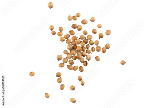 Foto Scattered dried coriander seeds isolated on white background with copy space for text or images