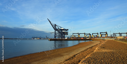 Canvas Print Felixstowe Dock Cranes and Container Ships.