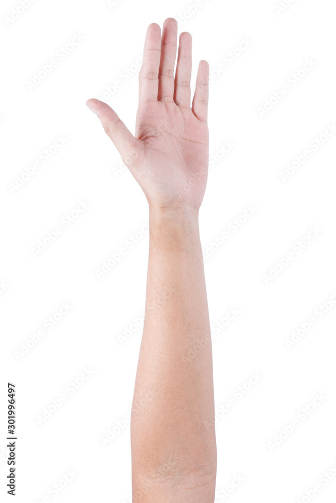 Male asian hand gestures isolated over the white background. Male asian hand gestures isolated over the white background.