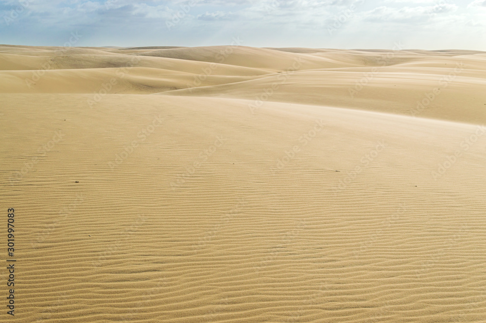 Road of dunes in brazilian desert