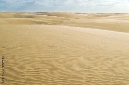 Road of dunes in brazilian desert