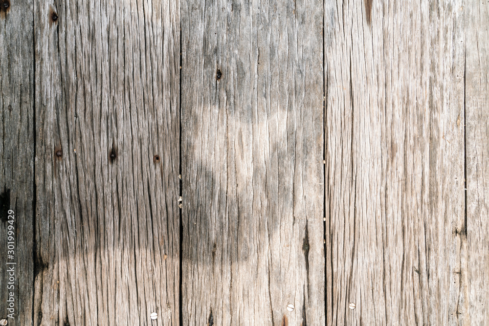 Obraz premium Brown wooden bark texture empty decoration background