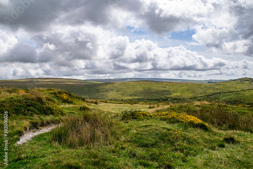 Fototapeta Naklejka Na Ścianę i Meble -  Landscape of Dartmoor National Park in late summer
