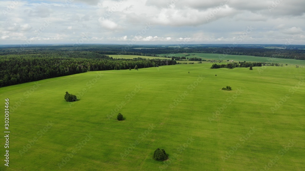 Beautiful summer landscape on a sunny day Beautiful summer landscape on a sunny day