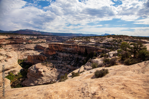 Horsecollar Ruins Trail in Natural Bridges National Monuments provides an excellent view of the varied rock strata of the two canyons it passes through