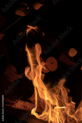 Smore in fire