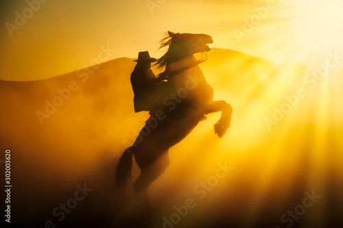 Wild horses living in nature