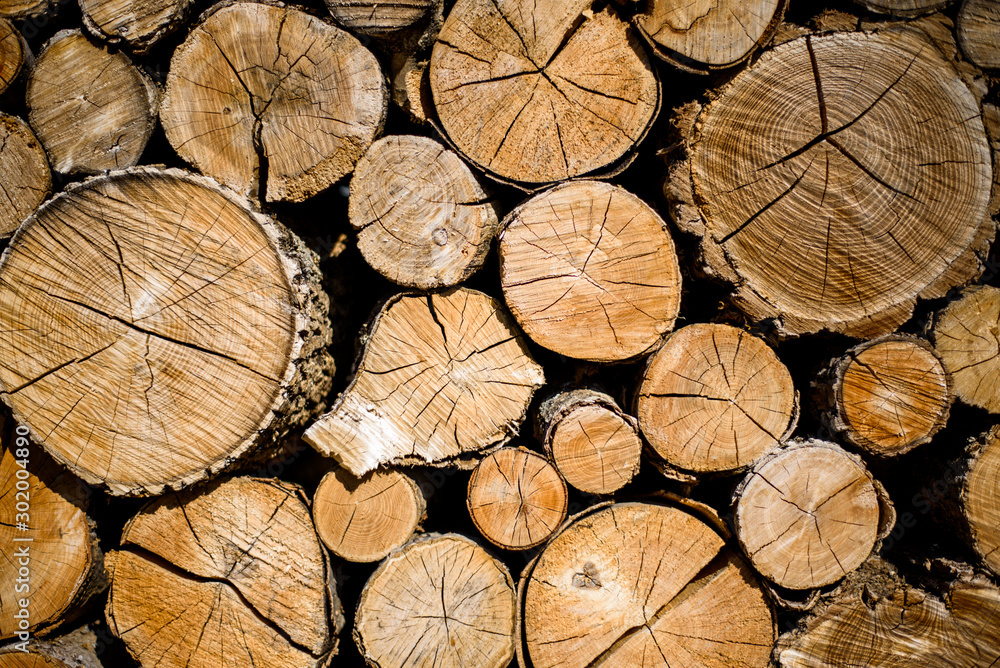 Fototapeta premium Many wooden logs textured background.