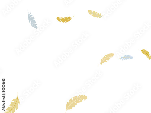 Fluffy twirled feathers on white design.