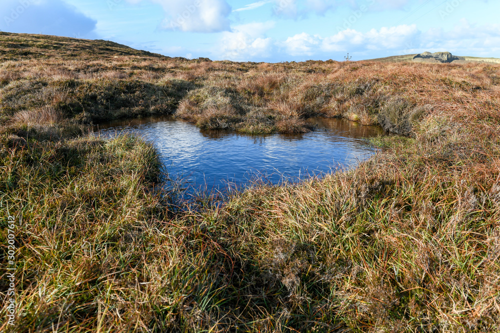 heart shape pond heart shape pond