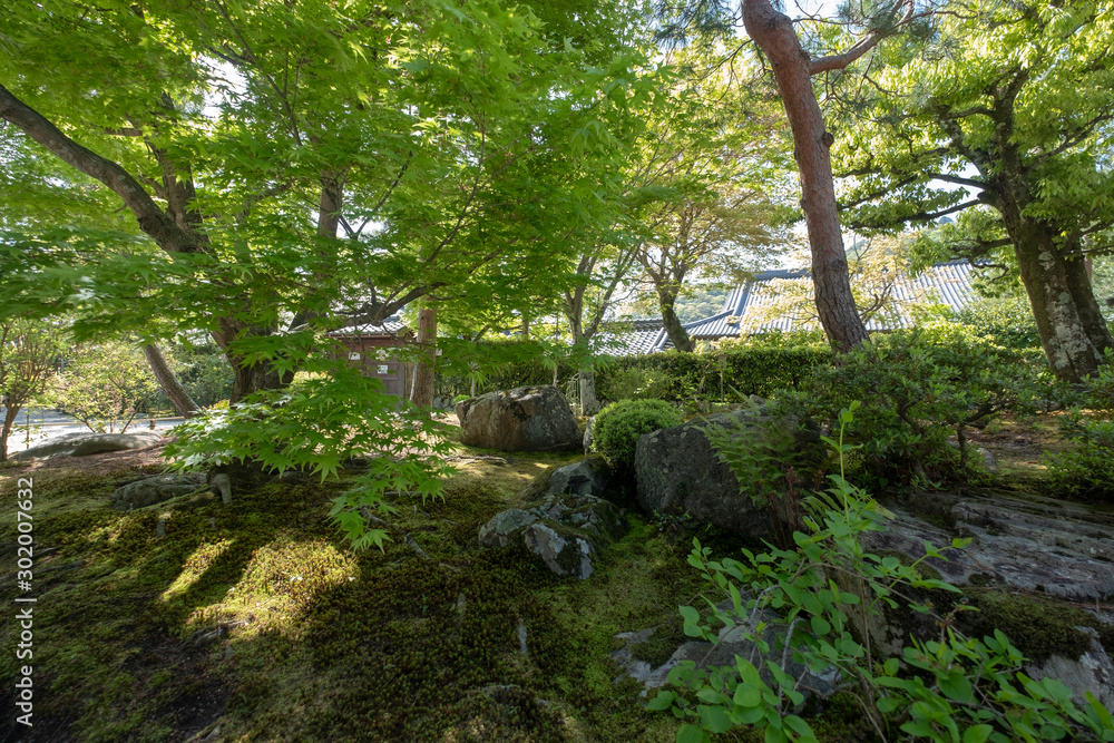 Peaceful Japanese Zen Garden with Pond, Rocks, Gravel and Moss Kyoto Japan Peaceful Japanese Zen Garden with Pond, Rocks, Gravel and Moss Kyoto Japan