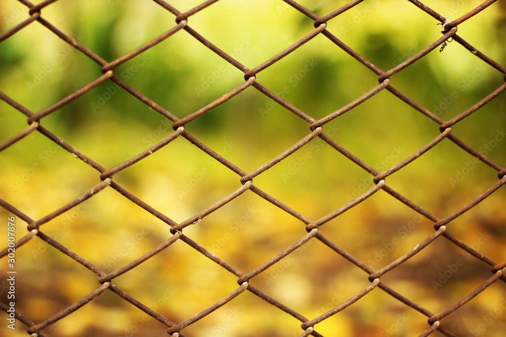 Background from a metal mesh. Grid on a background of greenery. Background from a metal mesh. Grid on a background of greenery.