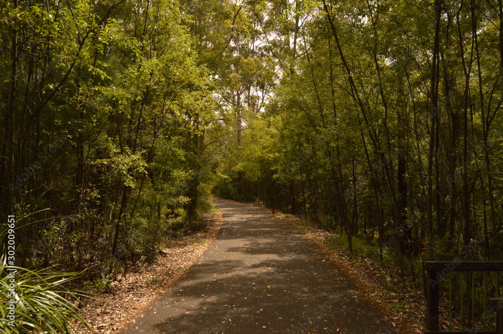 Naklejka premium Hiking Trail in Pemberton National Park