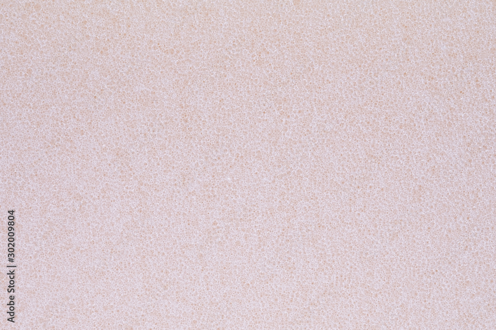 Fototapeta premium Close up sponge detail texture background.