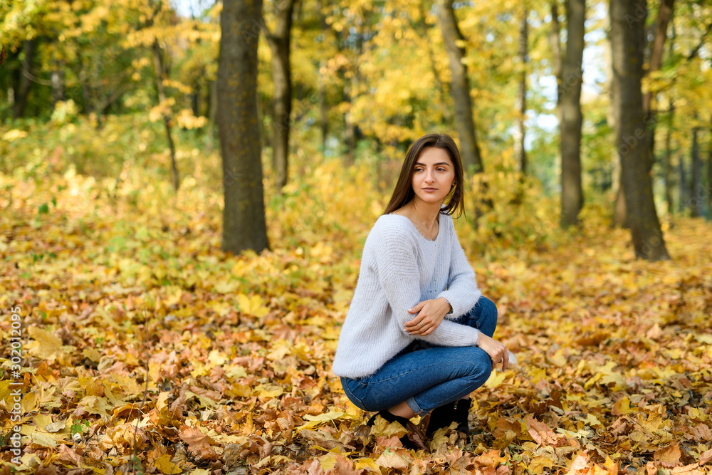 Autumn landscape. Woman in casual wear posing in park with yellow leaves Autumn landscape. Woman in casual wear posing in park with yellow leaves