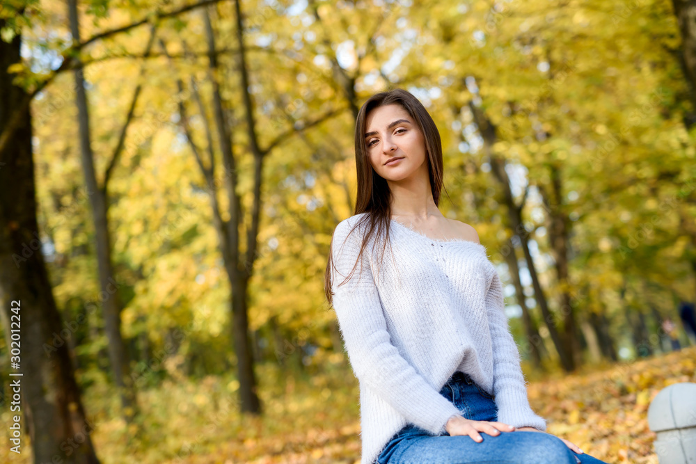 Autumn landscape. Woman in casual wear posing in park with yellow leaves Autumn landscape. Woman in casual wear posing in park with yellow leaves