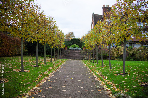Obraz na płótnie tree avenue in the garden in autumn w salonie