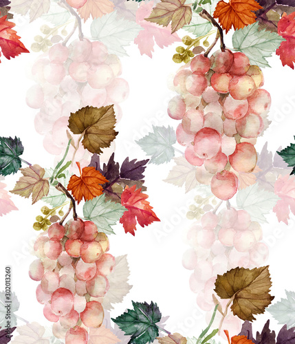 Watercolor pattern of grapes and leaves.Grape variety Cardinal.