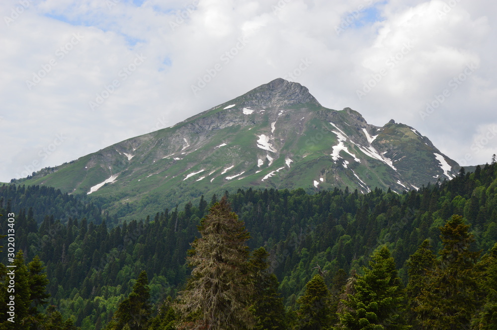Caucas mountain with deep forest