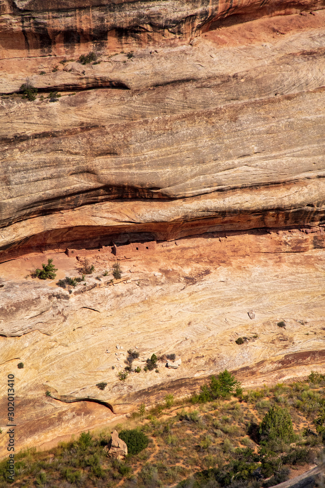 Obraz premium Anasazi Cliff dwelling tucked into the face of this cliff can be seen from an overlook on Horse Collar Canyon Trail in Natural Bridges National Monument, Utah