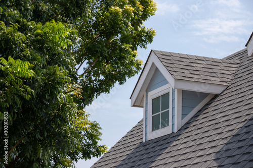Fotografia Roof shingles with garret house on top of the house among a lot of trees