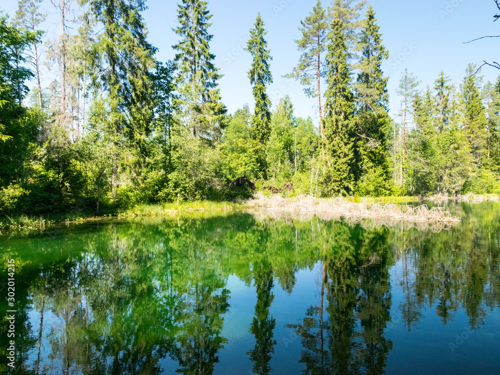 landscape with bright green lake and colorful trees, beautiful summer day, wonderful reflections in the water landscape with bright green lake and colorful trees, beautiful summer day, wonderful reflections in the water