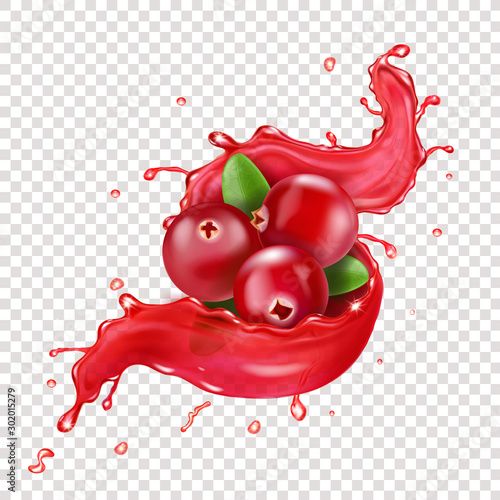 Cranberry realistic sweet berry in red juice splash