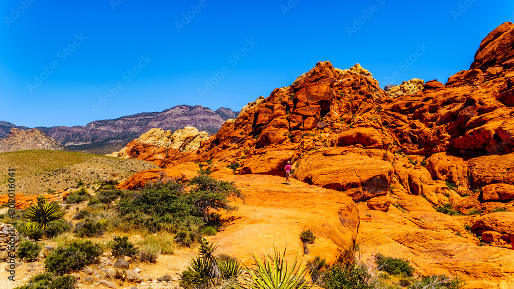 Senior Woman sitting on a large Red Rock while hiking the Guardian Angel Trail in Red Rock Canyon National Conservation Area near Las Vegas, Nevada, United States