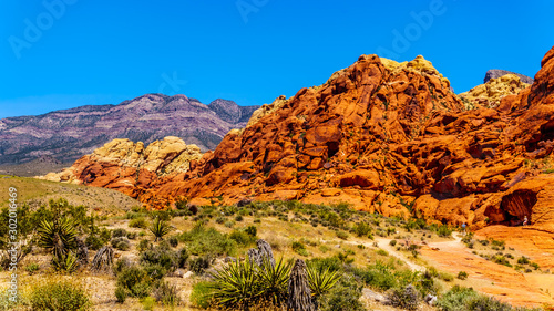 Photography The Red and Yellow Sandstone Cliffs along the Calico Hiking Trail in Red Rock Ca