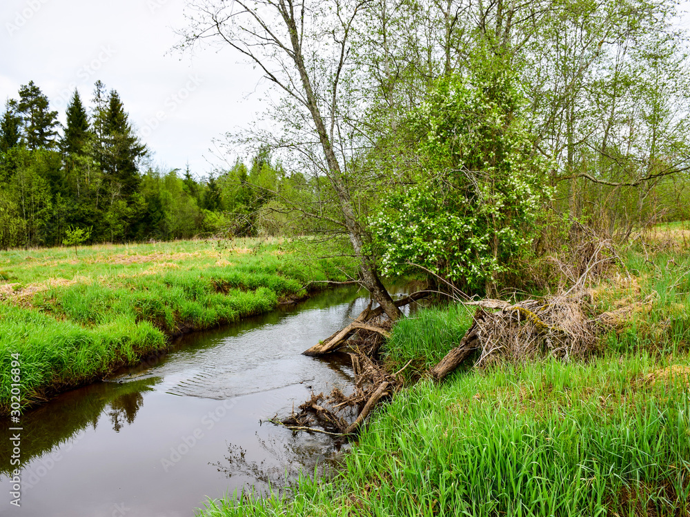 landscape with small river and green trees on shore, spring landscape with small river and green trees on shore, spring