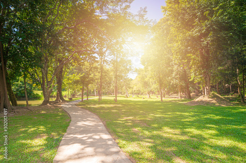 New pathway and beautiful trees track for running or walking and cycling relax in the park on green grass field on the side of the golf course. Sunlight and flare background concept.