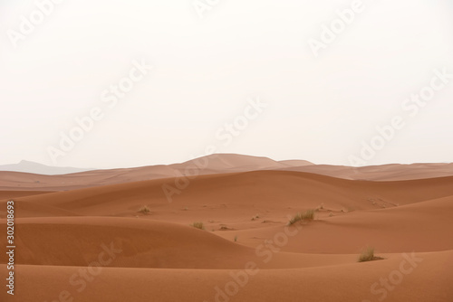 The beauty of the sand dunes in the Sahara Desert in Morocco. The Sahara Desert is the largest hot desert and one of the harshest environments in the world.