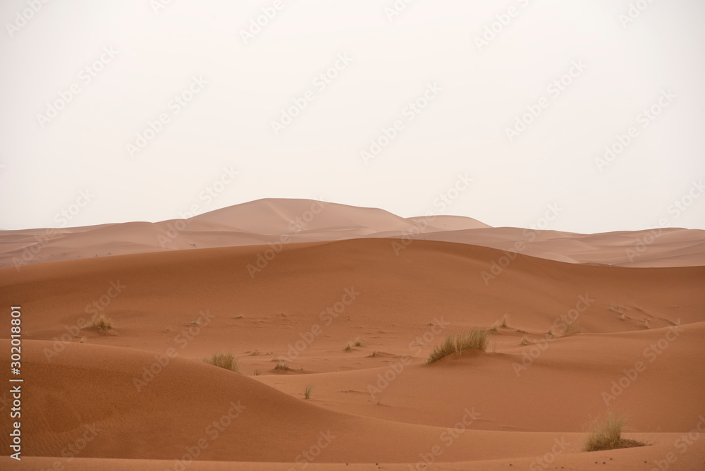 The beauty of the sand dunes in the Sahara Desert in Morocco. The Sahara Desert is the largest hot desert and one of the harshest environments in the world.