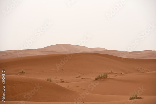 The beauty of the sand dunes in the Sahara Desert in Morocco. The Sahara Desert is the largest hot desert and one of the harshest environments in the world. © MAGNIFIER