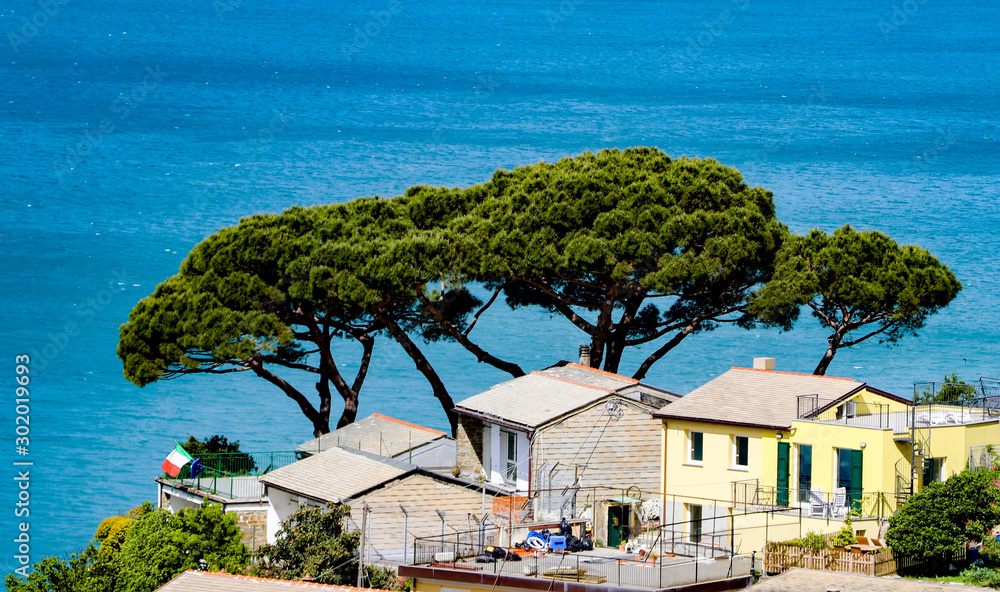 coastal view of Cinque Terre, the Riomaggiore village which is a small village in the Liguria region of Italy.