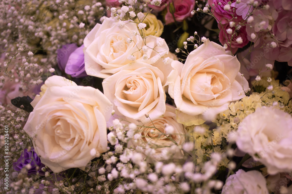 Soft cream white bouquet of rose decorating in wedding event Soft cream white bouquet of rose decorating in wedding event