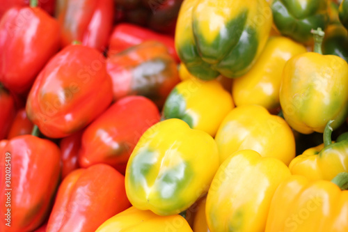 Colorful sweet bell peppers red  yellow  green. Nature background.