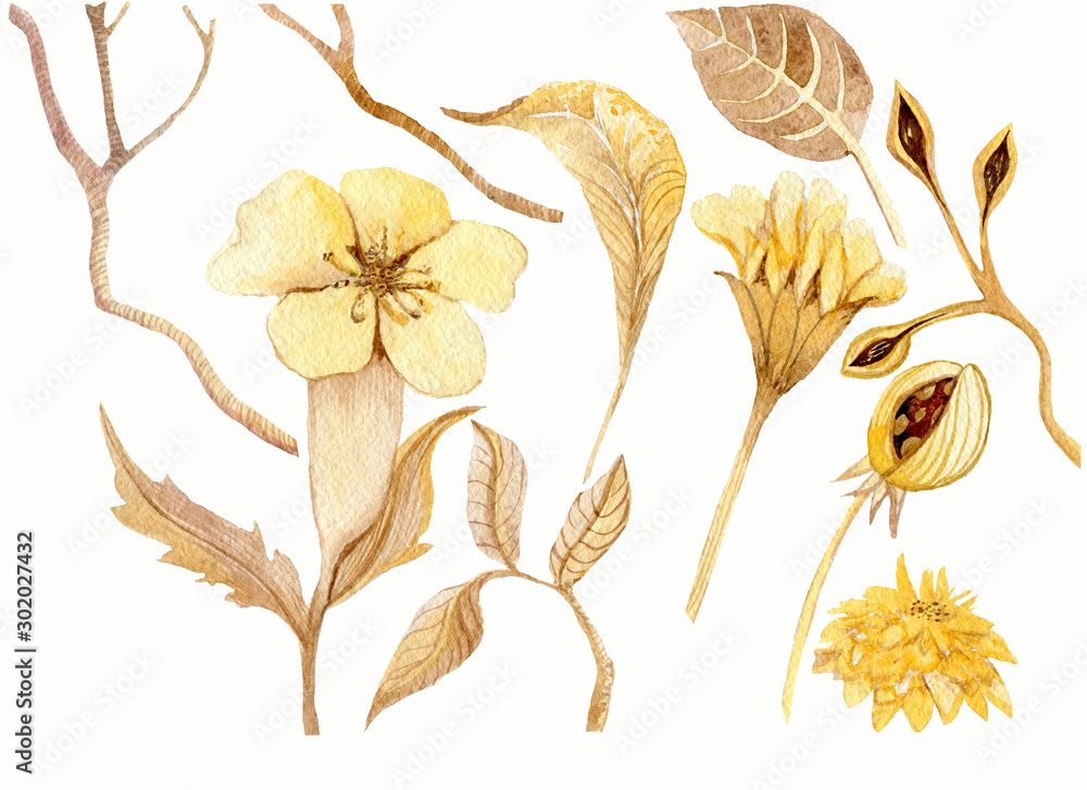 Gold watercolor flowers