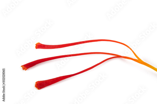 Canvastavla Saffron stigmas