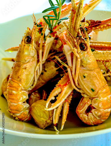 Enjoying seafood while eExploring the eastrn coast around Pescara, Italy filled with golden beaches and tiki umbrellas photo