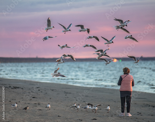 Woman at sea feeding birds at sunset