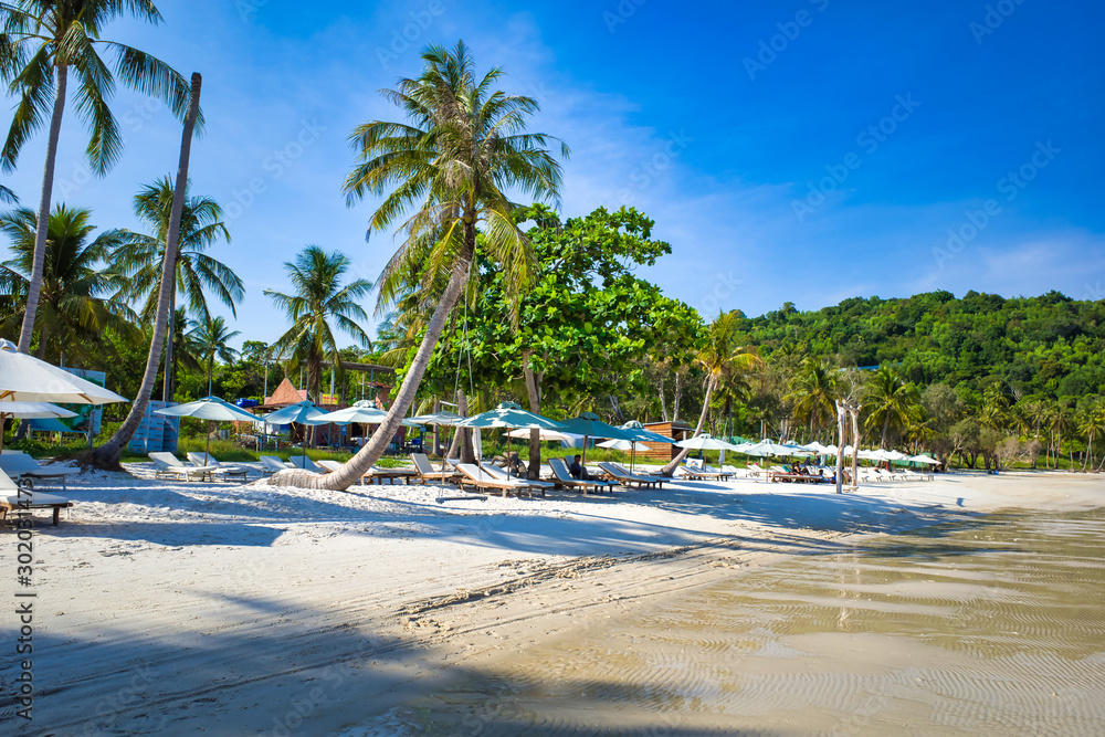 Sandy beach on the bay, high palm trees, blue sky, sun loungers for relaxation and sunbathing under umbrellas, tourists resting, Phu Quoc island, Vietnam